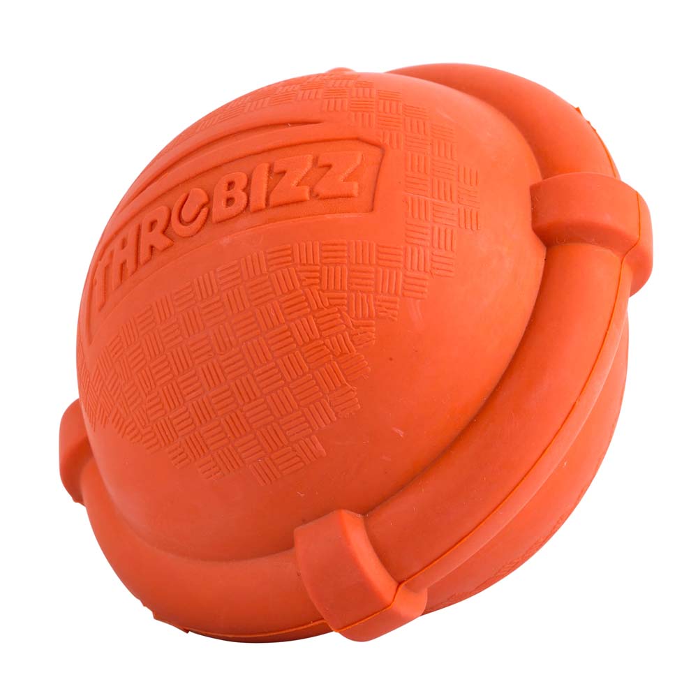 pet ball with lifesaver band around body