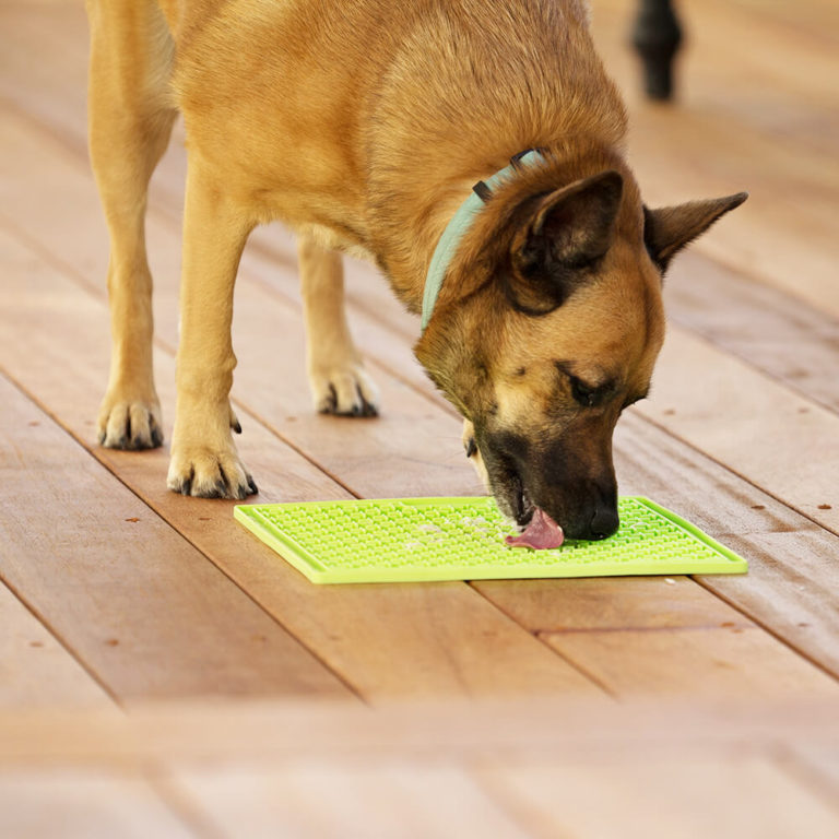 LickiMat® Buddy™ X Large Innovative Pet Products