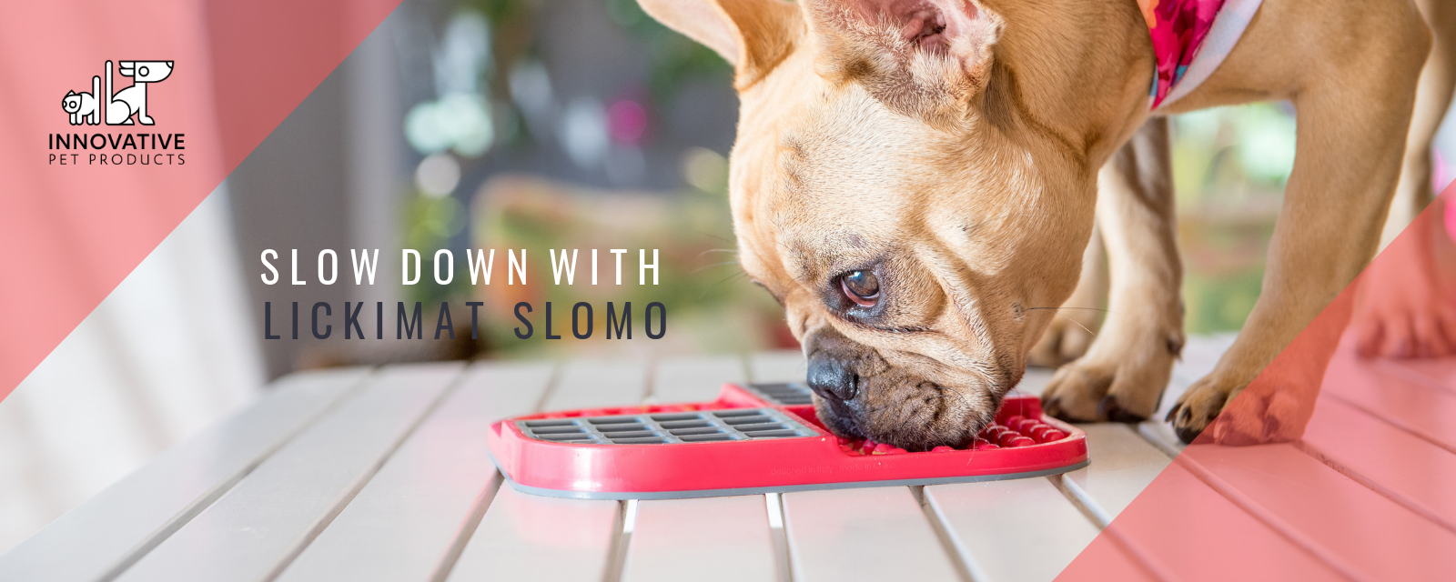 Lickimats Don t Feel Guilty Leaving Your Pet Home Alone Innovative Pet Products