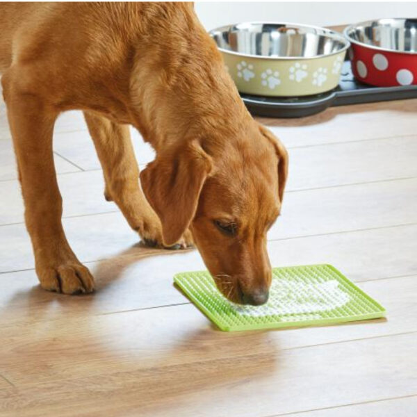 dog with lick mat treatimat